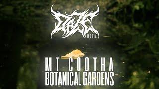 Mt Cootha Botanical Gardens - Daze Media Short Edit