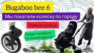 Bugaboo Bee 6 - как мы покатали коляску