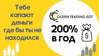 Отзыв партнера Golden Trading Bot, заработавшего 200% за год, без знаний трейдинга