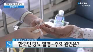 한국인 당뇨병 환자 10명중 4명… '인슐린 부족'이 원인 / YTN 사이언스