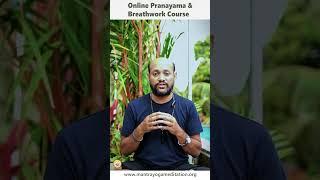 Online Pranayama Couse | Online Breathwork Couse | Best Pranayama & Breathwork Training #breathwork