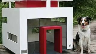 World's Most Expensive Dog Houses!