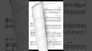 Easy Short Articulations And Ornaments Piece For Flute With Cello Accompaniment (2022) Op. 10.1.8