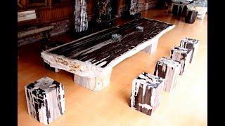 Petrified Wood Dining Table Stone Top