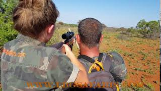 Zebra Hunt in South Africa