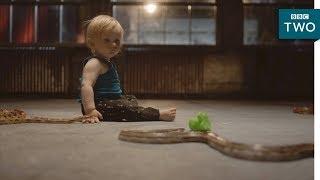 Why aren't babies afraid of snakes? - The Human Body: Secrets of Your Life Revealed | BBC Two