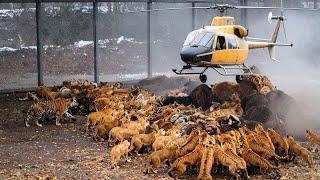 То, Что Произошло в Зоопарке США Шокировало Мир