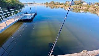 Fishing Galveston Bay Hot Spots during a cold front: I got a big one