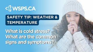 What is cold stress? What are the common signs and symptoms?