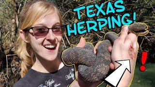 Getting Bit by Water Snakes - Herping Texas