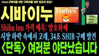 시바이누 시바이누코인 시바이누코인전망 SHIB DOGE BTC 코인전망 비트코인 이더리움 도지코인