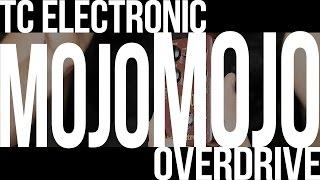 TC Electronic MojoMojo Overdrive