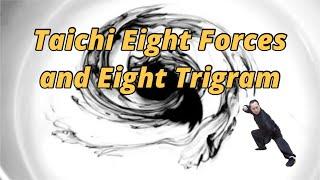 Taichi eight forces and eight trigrams