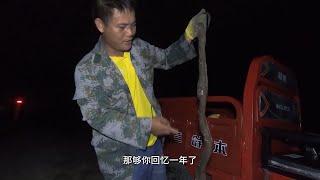 老四来宝地赶海，没想到这里猛货众多，还有超级大土龙