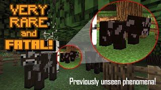 Unseen Footage of the Belligerent Cow | Minecraft Creepypasta