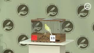 3-е место, Приз за музыкальность