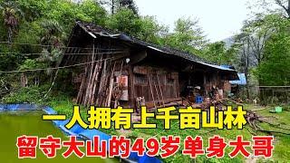 探访留守大山的49岁单身大哥，一人拥有上千亩山林，这里简直是未开发的宝藏之地！【乡村阿泰】