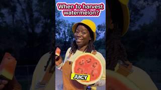 Is your Watermelon Ready?