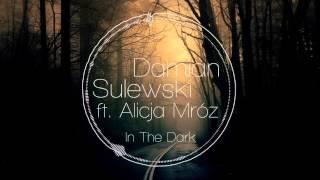 Damian Sulewski ft. Alicja Mróz - In The Dark