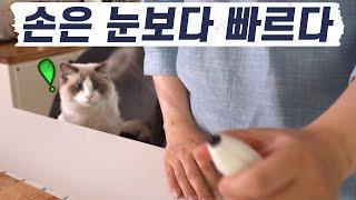 믹스커피로 아인슈페너 만들기 #고양이집사