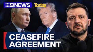 Putin agrees in principal with US ceasefire proposal | 9 News Australia