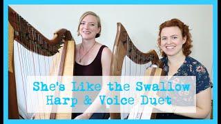 She's Like the Swallow (Featuring Christy-Lyn) | Tiffany Schaefer Harp & Song