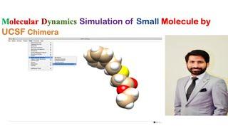 Molecular Dynamics Simulation  small molecule