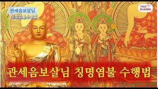 팔정도 칭명염불 관세음보살님 공부법 / 영산불교 현지사 팔정도 칭명염불 수행법 관세음보살님 기도 / 정법명왕불 대비 관세음보살님 / 부처님께서 일러주신 공부법