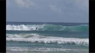 muriell bernardo - free surfer - brazil