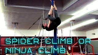 Spider Climb Ninja Climb