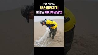 양손벌려치기 투망던지기, 한국투망협회 문영길 바다투망달인 #castnet #fishing #pesca