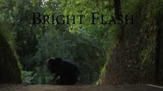 Bright Flash - Parkour&Freerunning 2013