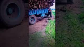 subscribe channel majha block 06#tractorvideo #trending #tochan #tractorstunt #farmtrac60 #explore