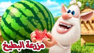 بوبا -  مزرعة البطيخ - كارتون مضحك للأطفال