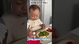 15개월 아기의 오물오물 아침 먹방 #toddler #breakfast #babymeal #아기먹방 #15개월아기 #야무지게먹어요 #shorts  #쇼츠