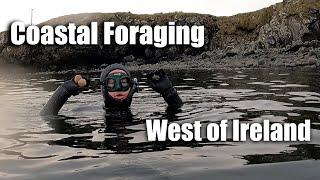 Costal Foraging West of Ireland - Clams and Spearfishing