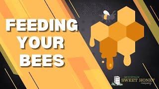 How Often Should You Feed Your Bees? - Mountain Sweet Honey