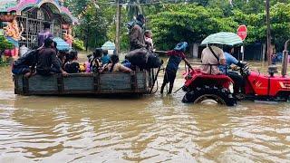  எனது வீட்டுக்குள் புகுந்த வெள்ளம் ️#Jaffna #flood #rain #srilanka  youtubers | Tamil  Vlog