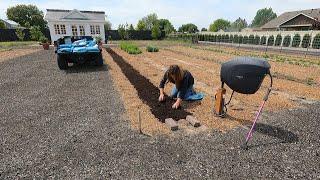 Planting Zinnias & Maple Trees + Plans for the Pumpkin Area!  // Garden Answer