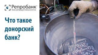Что такое донорский банк?