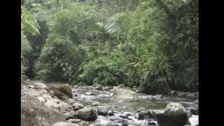 Eco Aventura