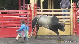 Liberty Pro Rodeo Caught Shocking Bulls