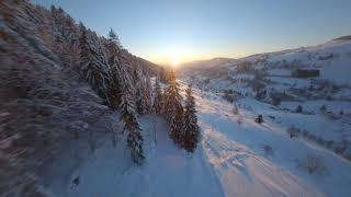 CINEMATIC FPV - The VOSGES