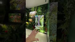 Samsung Display  makes ALL the Displays you see today!