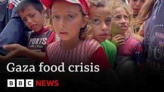 Call for arms embargo on Israel as Gaza’s children face starvation | BBC News