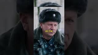 Начальника колонии арестовали сотрудники ФСБ за получение взятки... #кино #невский #shorts #фильм