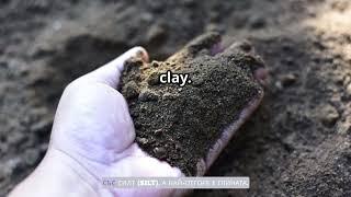Why Your Plants Might Be Struggling - The Soil Test You Need to Try?