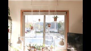 Plant Project - Hanging Houseplant DIY #HotForHoya