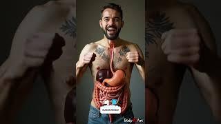 Digestive System Animation | Human Anatomy 52