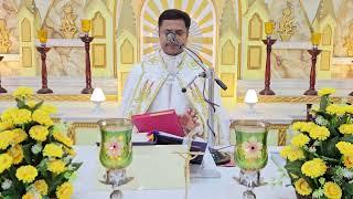 Sunday Holy Mass June 30  5.30 AM I Malayalam I Syro Malabar I Fr Bineesh Augustine